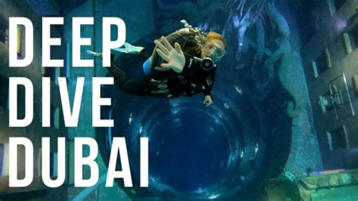 A Deep Dive For The Curious