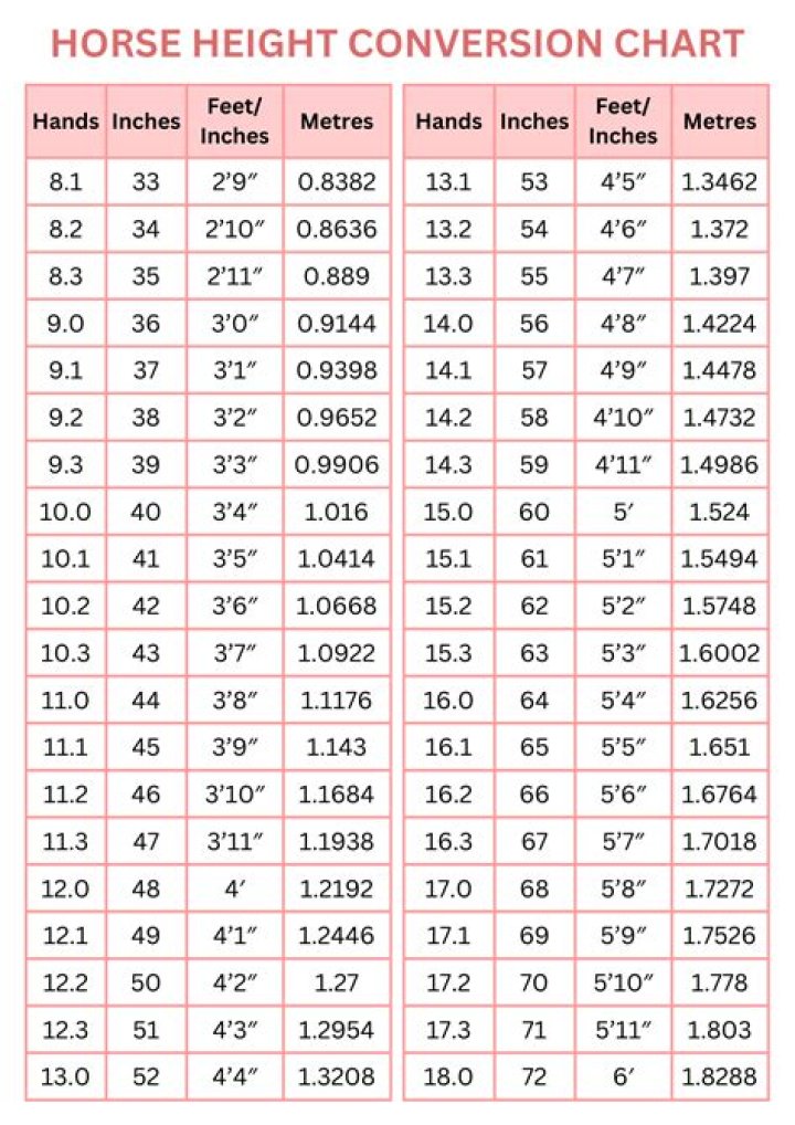 A Deep Dive Into His Height In Feet