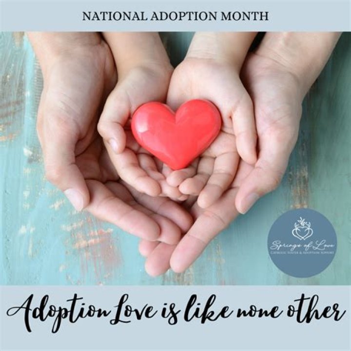 A Journey Of Love, Adoption, And Advocacy