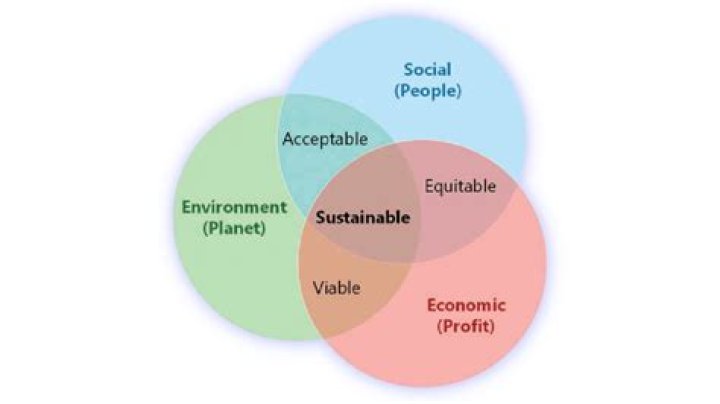 A Journey Of Style, Sustainability, And Social Impact