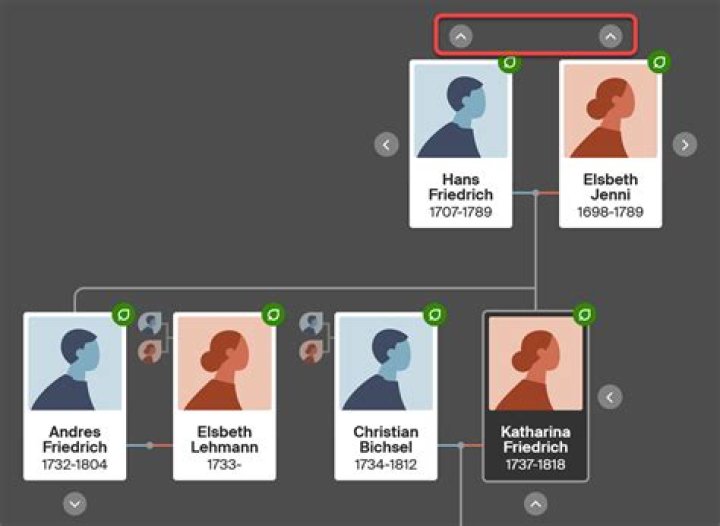 A Journey Through Ancestry And Identity