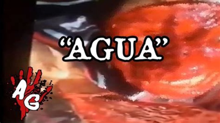 "agua Quiero Agua Original Gore Video Quiero" Explored