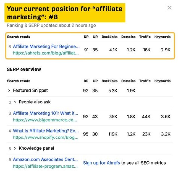 Analyze Your Website's Google Rankings: Ultimate Position Checker