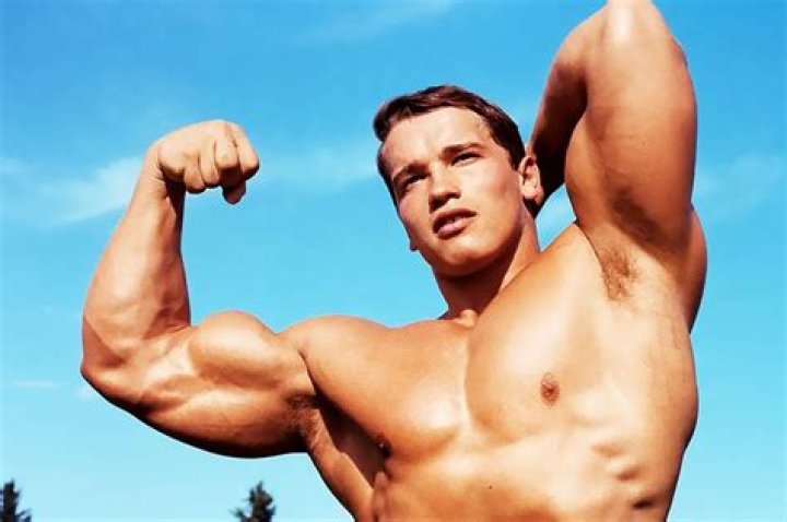 Arnold Schwarzenegger's Iconic Blue Ring: A Symbol Of Power And Success