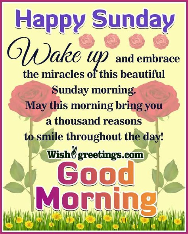 Astonishing Good Morning Sunday Pictures | Images That Brighten Your Weekends