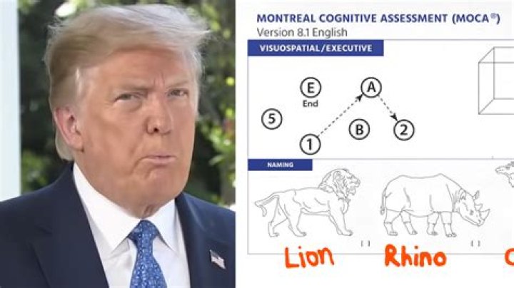 Barron's IQ Test: Trump's Cognitive Abilities Analyzed