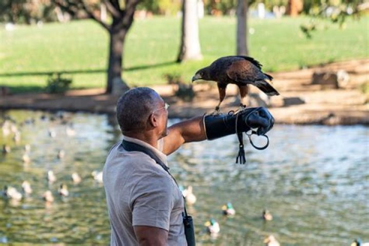 Christian Cooper: The Viral Birdwatching Hero