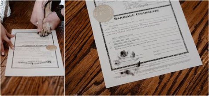 Colorado Dog Marriage License: Everything You Need To Know