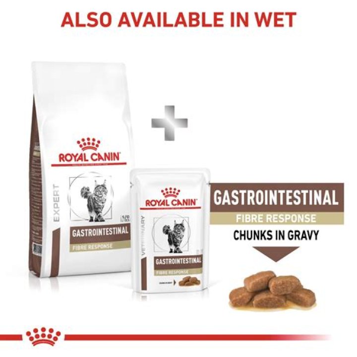 Dave's Expert Cat Food Reviews: Your Guide To The Purrfect Meal