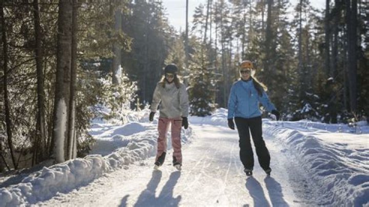 Discover Quebec's Enchanting Ice Skating Forest