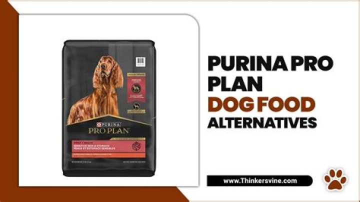 Discover The Best Dog Food Alternatives To Purina Pro Plan