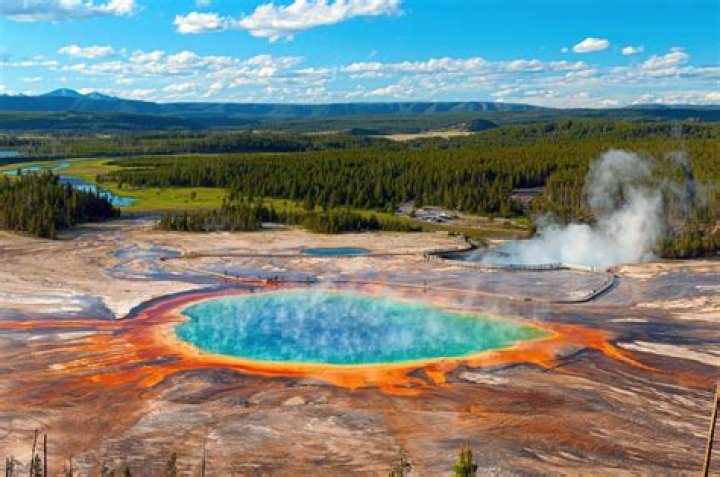 Discoveries And Insights About Yellowstone's Finn