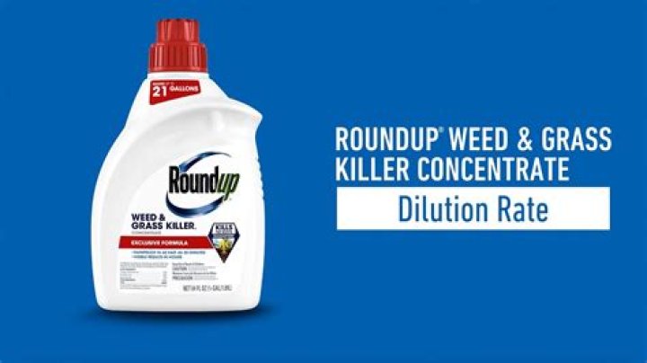Eraser Vs Roundup: The Ultimate Guide To Choose The Best Weed Control Method