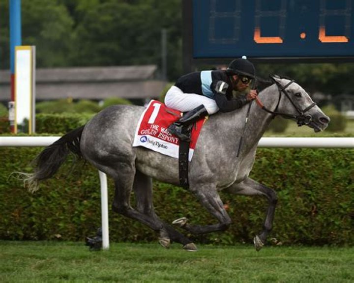 Experienced Jockey Kendrick Carmouche Ascends In The Racing World