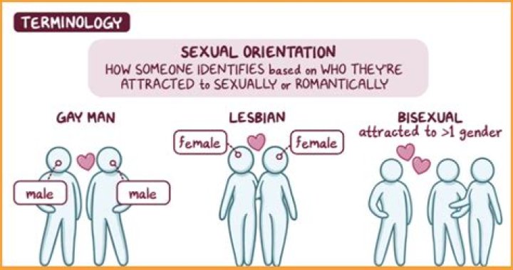 Exploring The Enigmatic Sexual Orientation Of Oscar Nunez