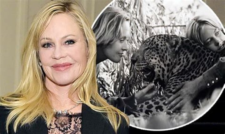 Exploring The Multifaceted Life Of Melanie Griffith's Son