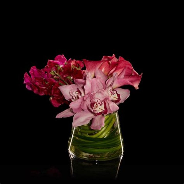 Flowers In Bloom: Embrace The Beauty Of Grand Floral Tops
