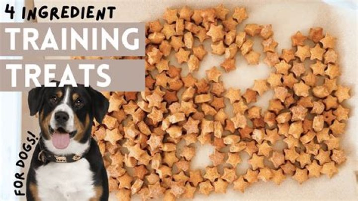 Fuel Up Your Pup: High-Calorie Treats For Energy-Boosting Dogs