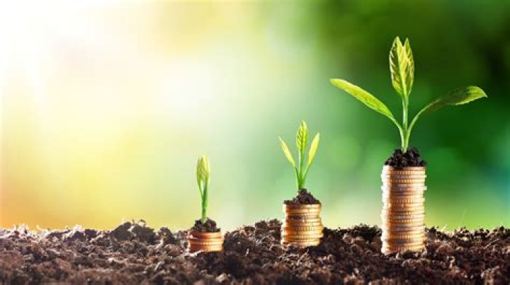 How To Raise Funds For The Wedding Of Your Dreams: Tips And Strategies