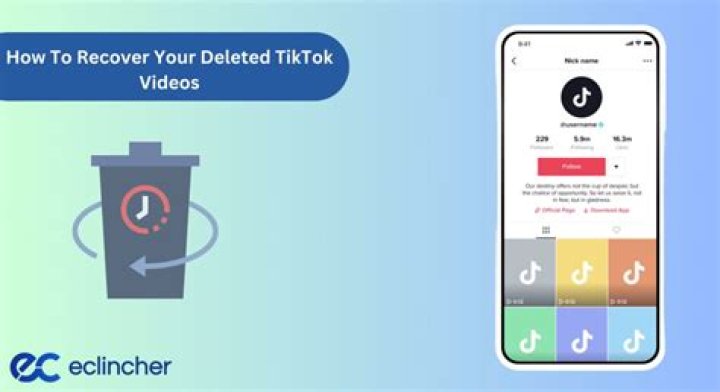 How To Witness Deleted TikToks