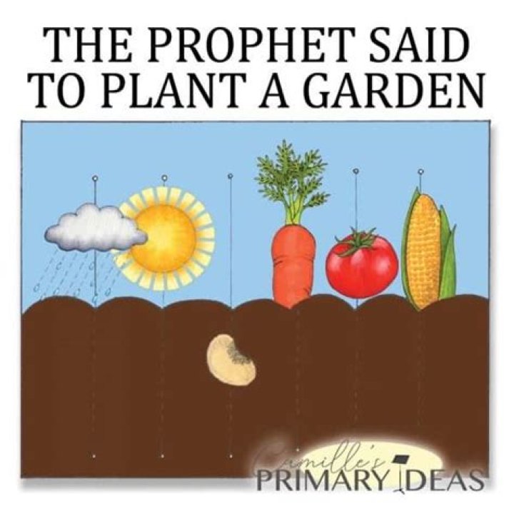 Invest In Your Future: Plant A Garden, Embrace Tomorrow's Promise