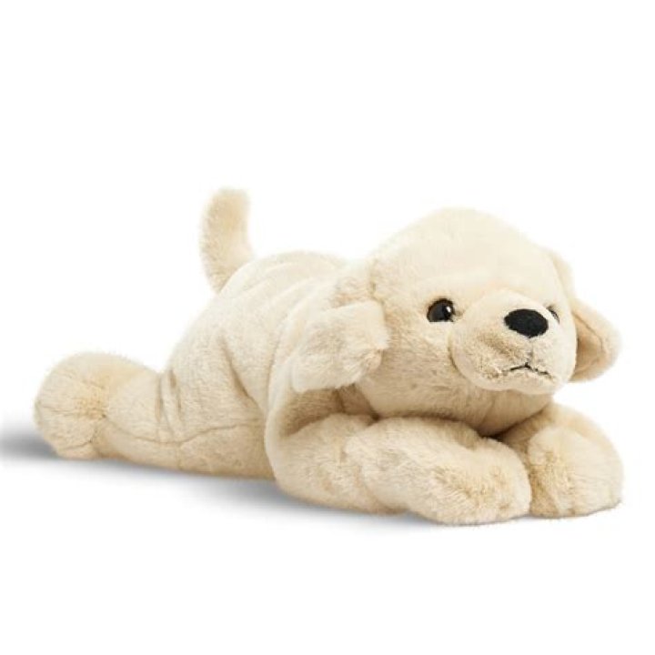 Irresistible Belly Stuffed Animals For Unforgettable Cuddles