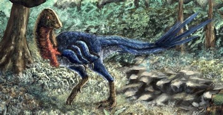 Is Frank Fritz Alive? Discoveries And Insights Revealed