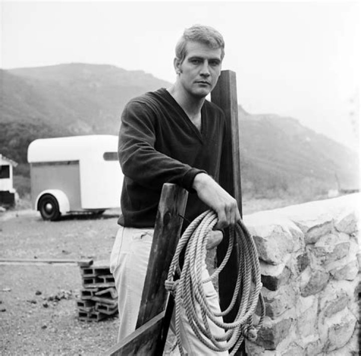 Lee Majors, Beyond The Iconic Roles