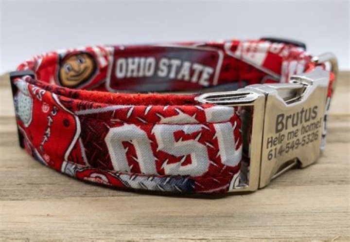Ohio State University Dog Clothes: Show Your Buckeye Spirit In Style