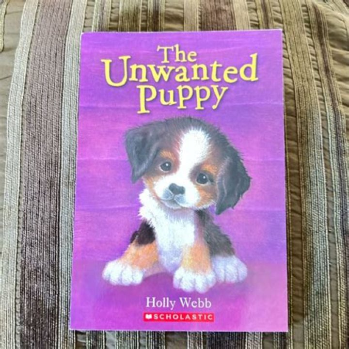 Persistently Unwanted: Puppy Returned To Shelter An Unbelievable 11 Times
