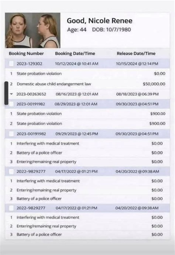Post Malone's Criminal Record: Surprising Revelations