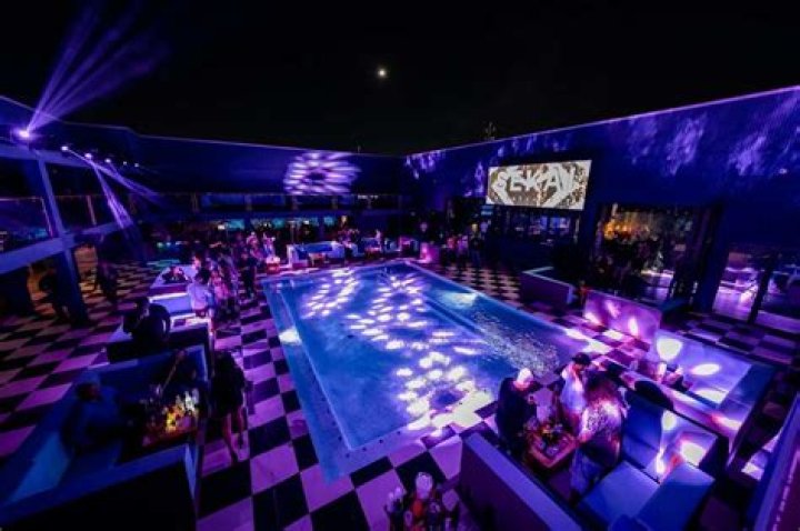 Premier Ladies Nightclub In Houston: LADYS ONE | Houston's #1 Ladies Club