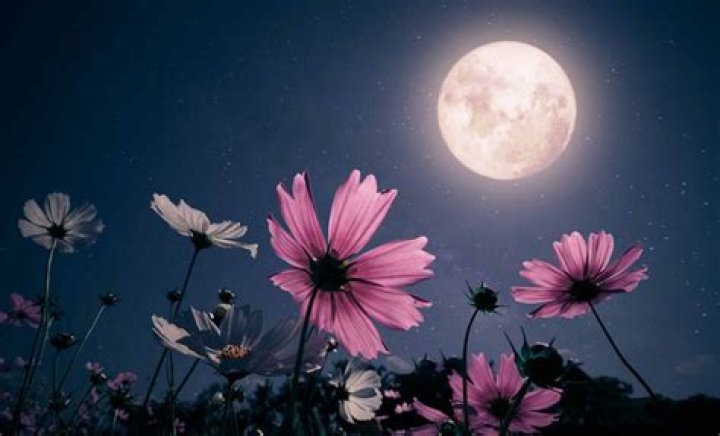 See The May 27th Moon: A Celestial Spectacle Not To Miss