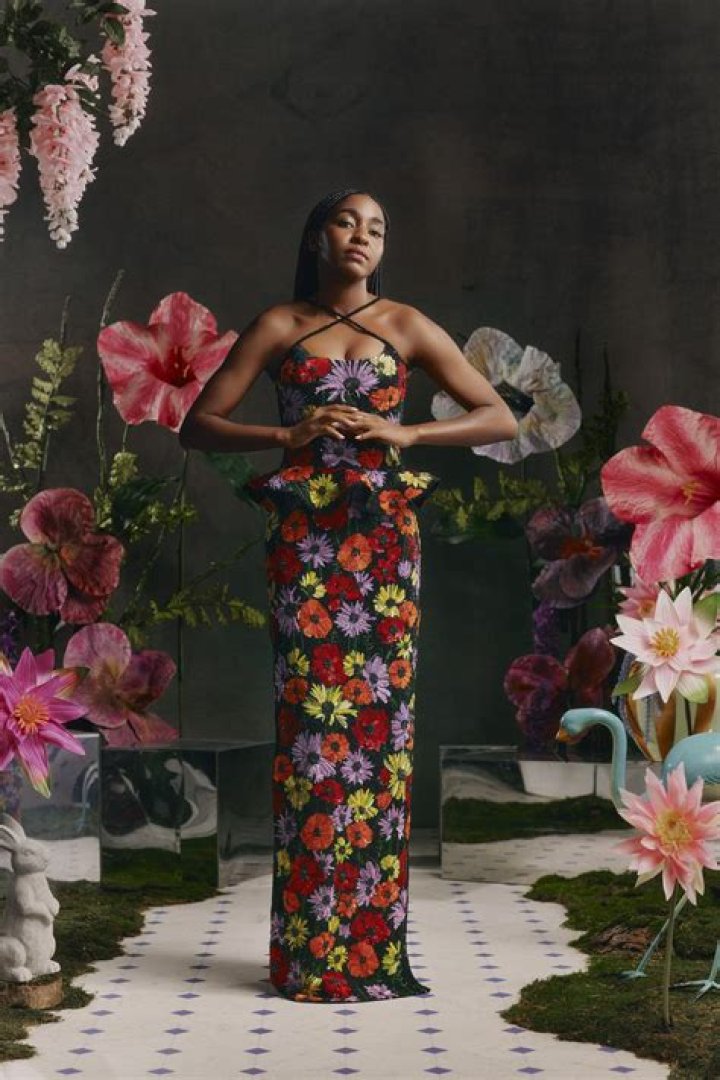 Stylish Slip Dress: Discover The Allure Of Rodarte's Designs