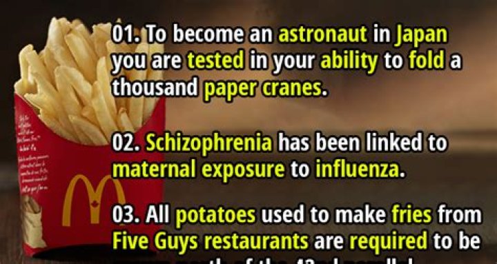 Surprising Revelations And Intriguing Facts