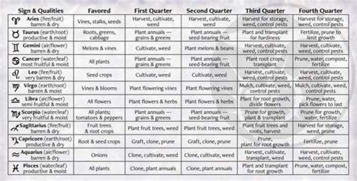 The Best Zodiac Signs For Planting In 2023: A Comprehensive Guide