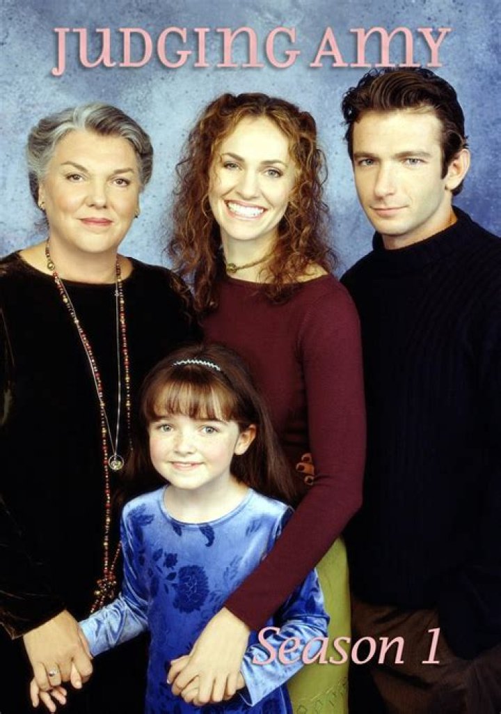 The Definitive Collection: Judging Amy TV Series On DVD