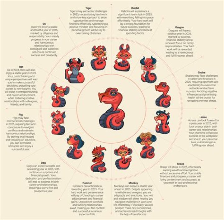 The Essential Guide To Monkey And Snake Compatibility: Harmonious Or Challenging?