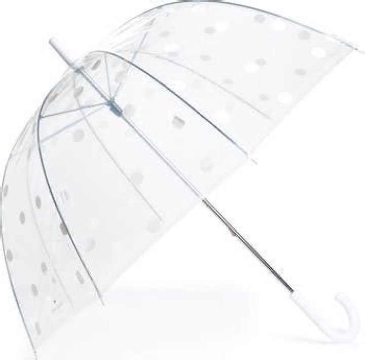 The Perfect Polka Dot Clear Umbrella For All Your Rainy Day Needs