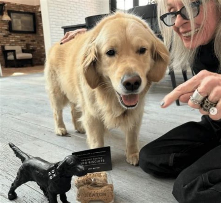 The Remarkable Bond Between Kelly Osbourne And Her Beloved Dog, Polly