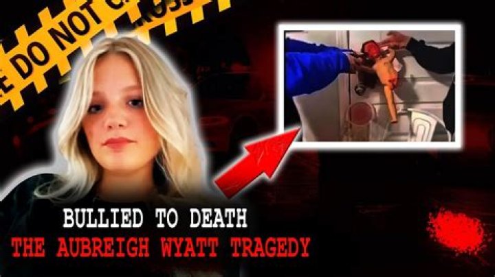 The Tragic Death Of Aubreigh Wyatt: Who Is Responsible?