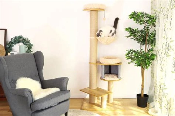 The Ultimate Cat Playtime Destination: Discover Our Towering Cat Toy Haven