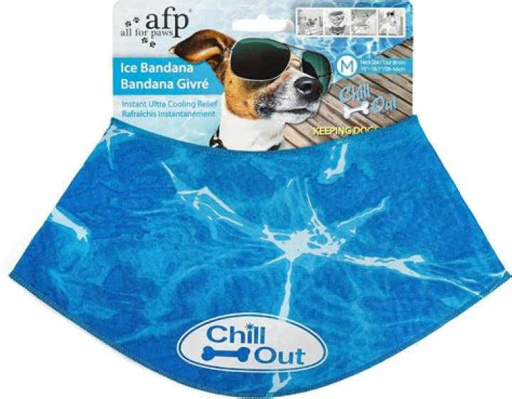 The Ultimate Dog Cooling Hat: Keep Your Pup Cool And Comfortable