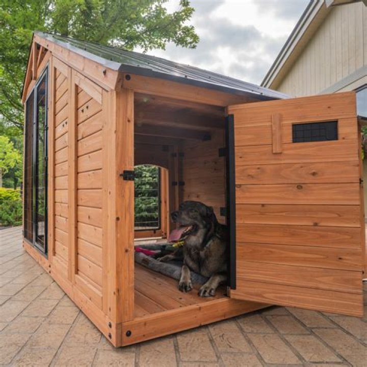 The Ultimate Guide: Cedar Point Dog Kennel
