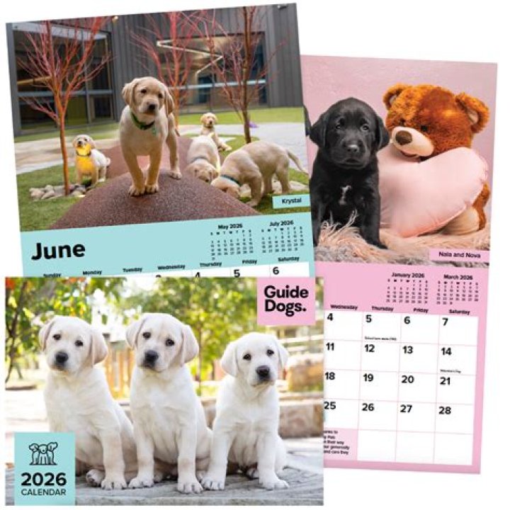 The Ultimate Guide: The Dog Calendar For Dog Lovers