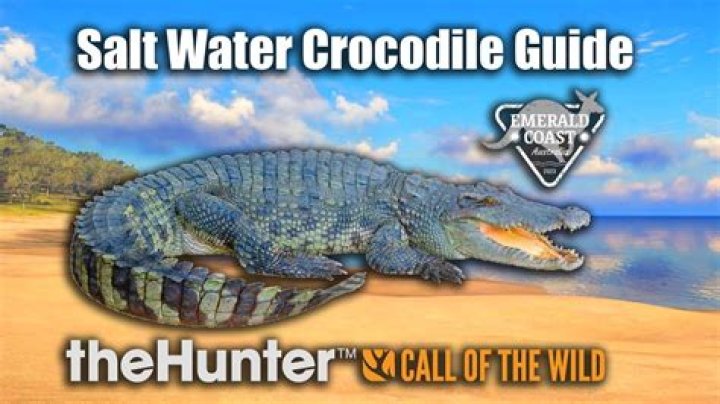 The Ultimate Guide To Crocodiles For Dogs: Everything You Need To Know