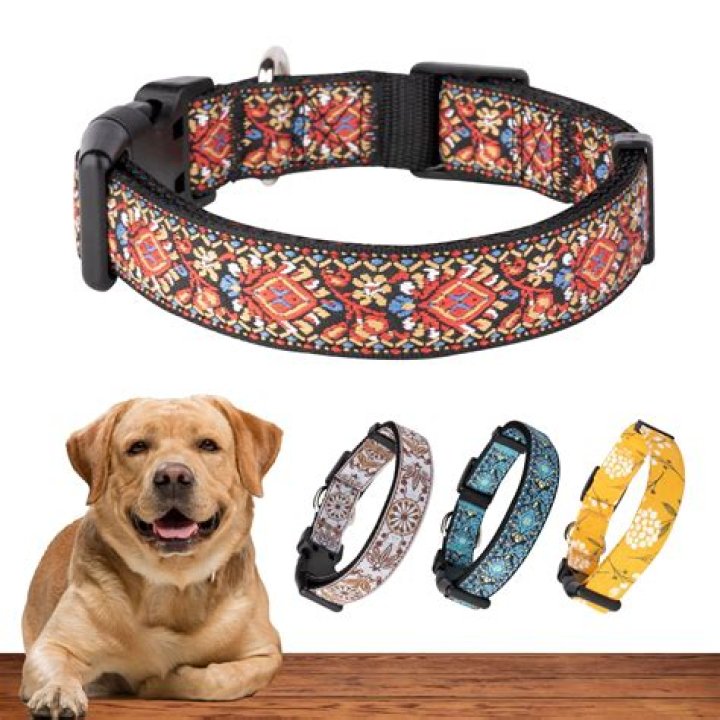 The Ultimate Guide To Exclusive High-End Dog Collars