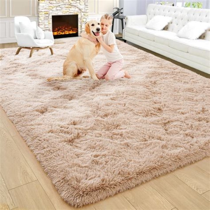 The Ultimate Guide To The Best Shag Rugs For Comfort And Style