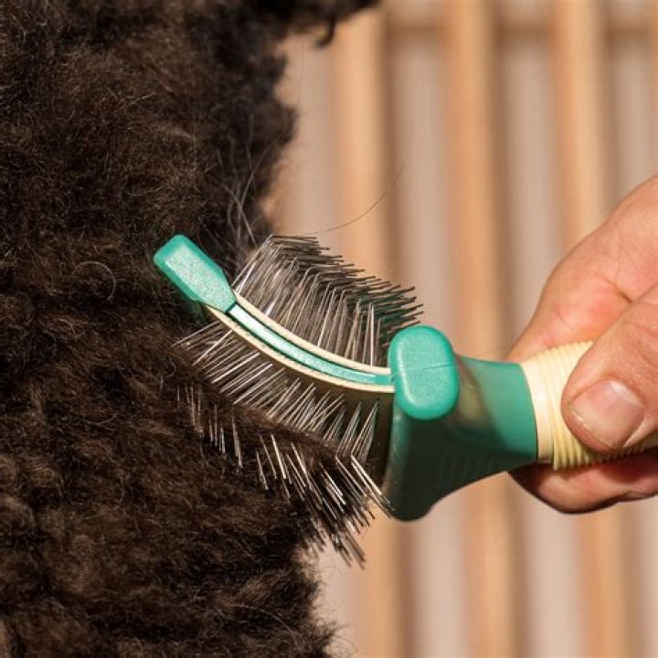 The Ultimate Slicker Brush For Effortless Dog Grooming