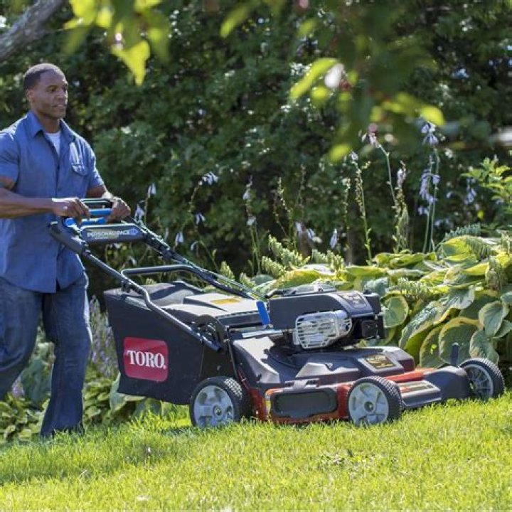Uncover The Best 36 Walk Behind Mowers: Your Guide To A Perfect Lawn
